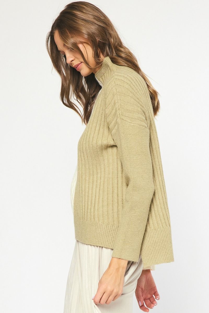 Colorblock Mixed Knitted Turtle Neck Sweater